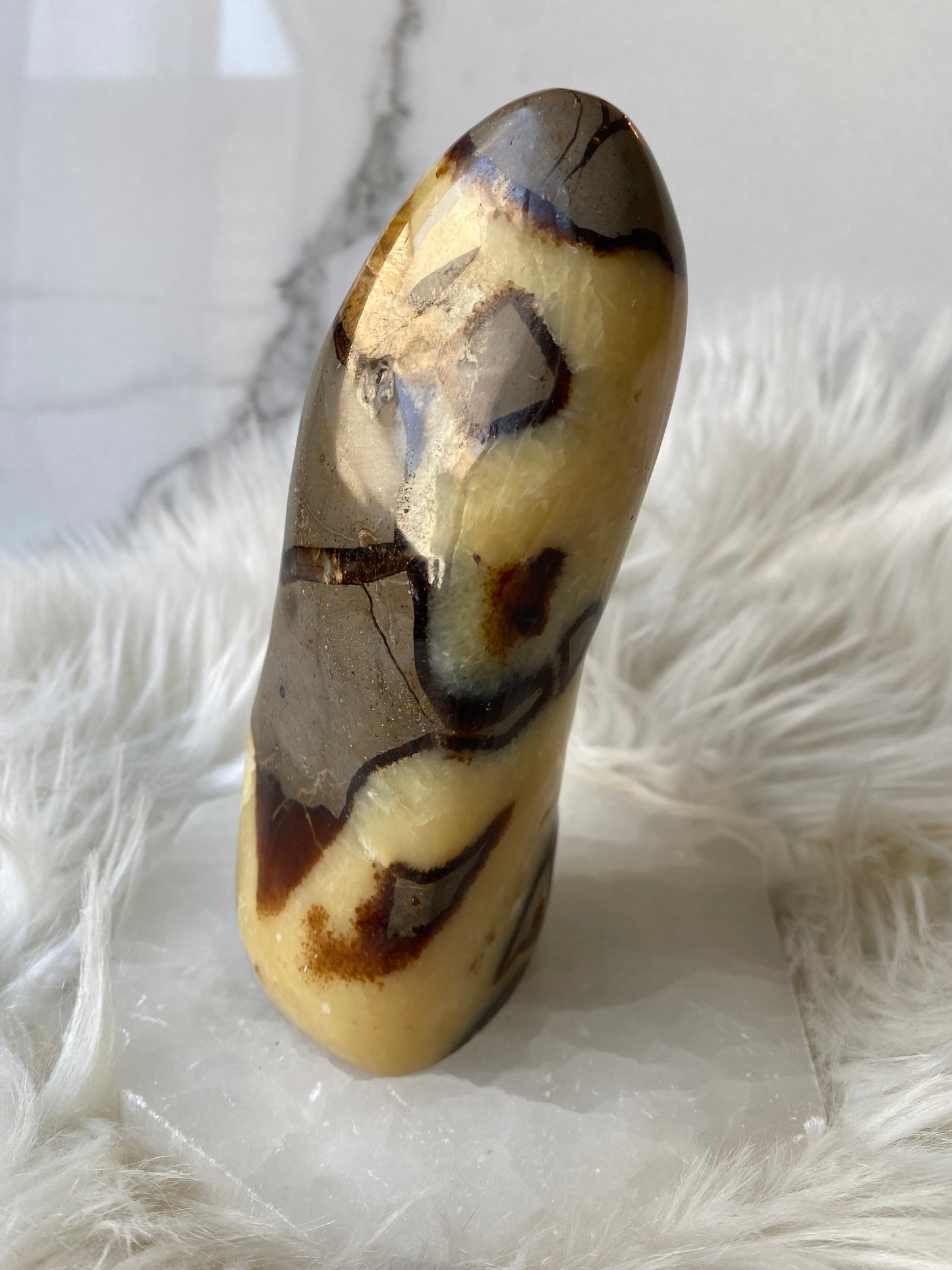 Septarian Dragonstone Freeform - Madagascar Polished Septarian