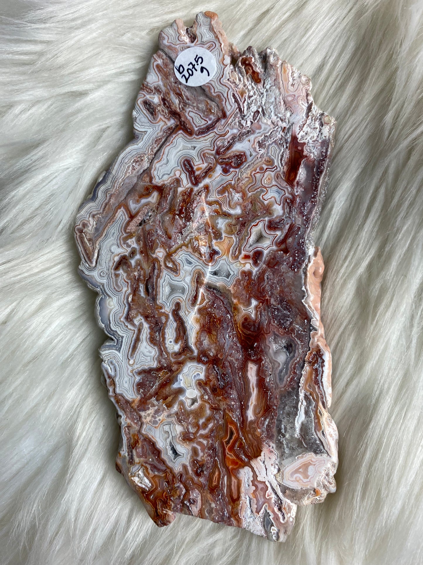 Crazy Lace / Mexican Druzy Agate Slab