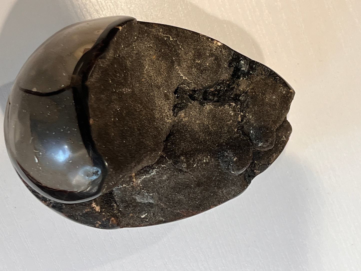 Wild Septarian - The Healing Collective NY