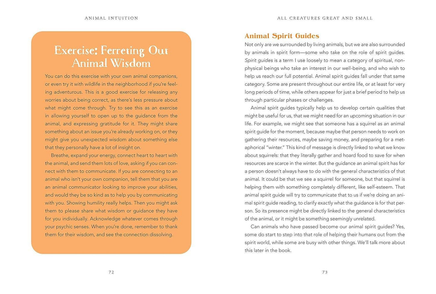 Animal Intuition: Communicating with Pets, Spirits & Energy - Cozy Coven