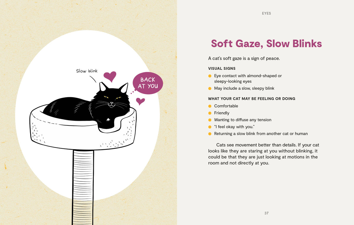 Kitty Language