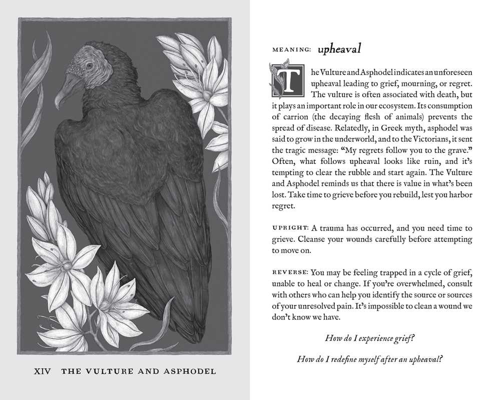 Woodland Wardens Oracle Deck & Guidebook by Jessica  Roux