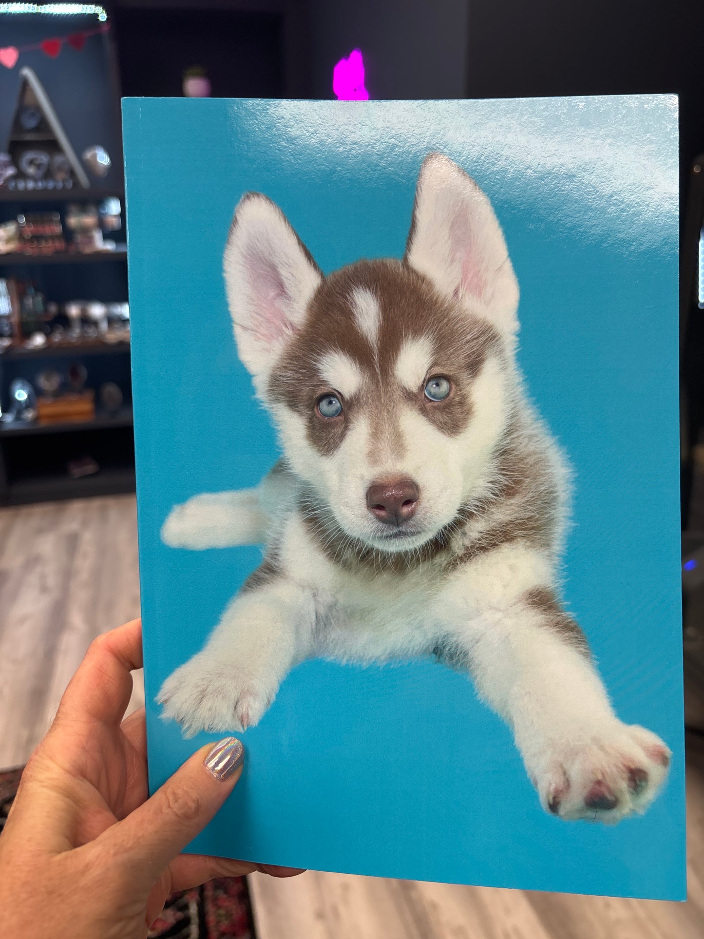 Husky Puppy Cover Journal 📓