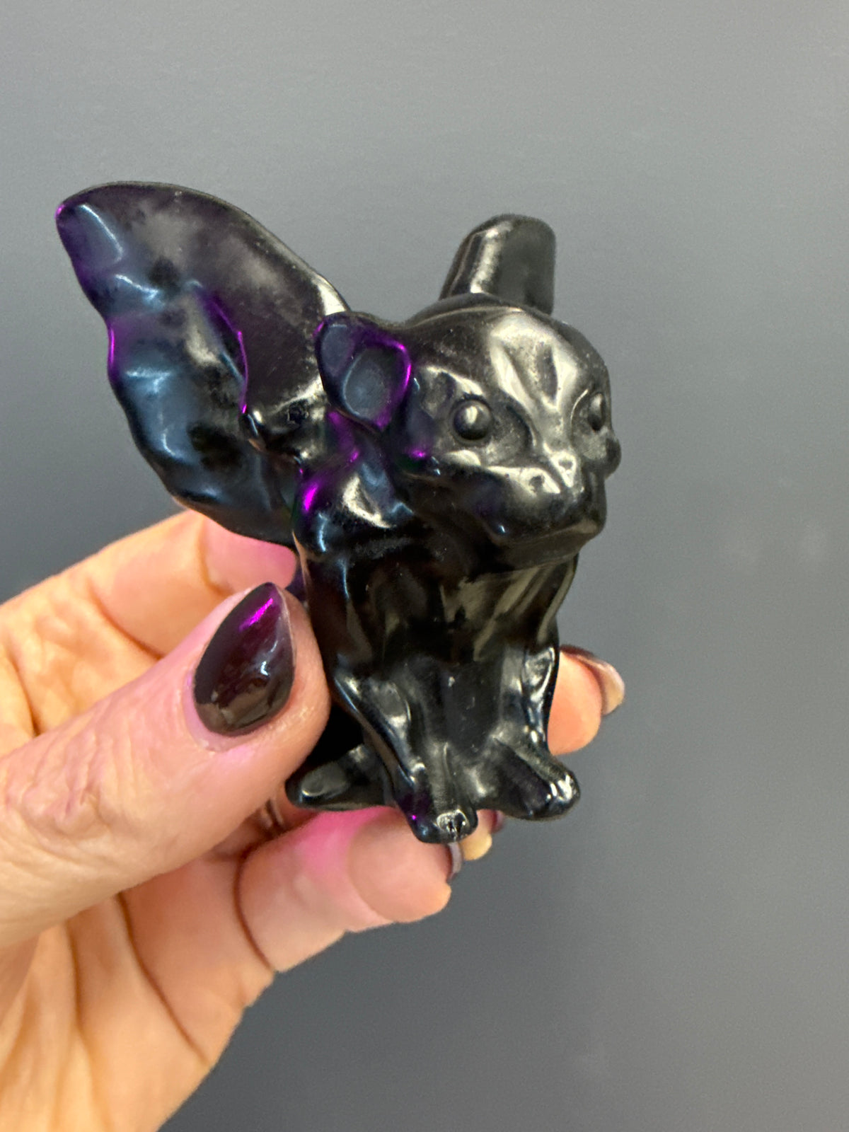 Black Obsidian or Larvakite Gargoyle - Cozy Coven