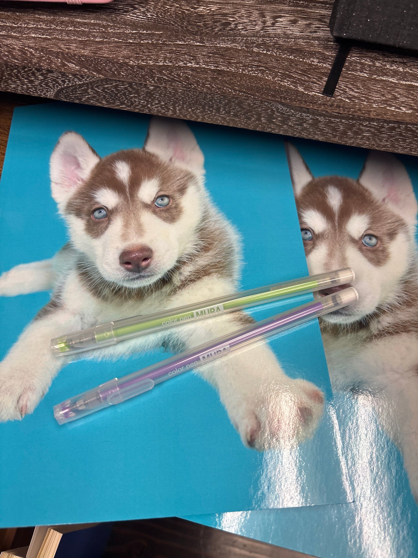 Husky Puppy Cover Journal 📓