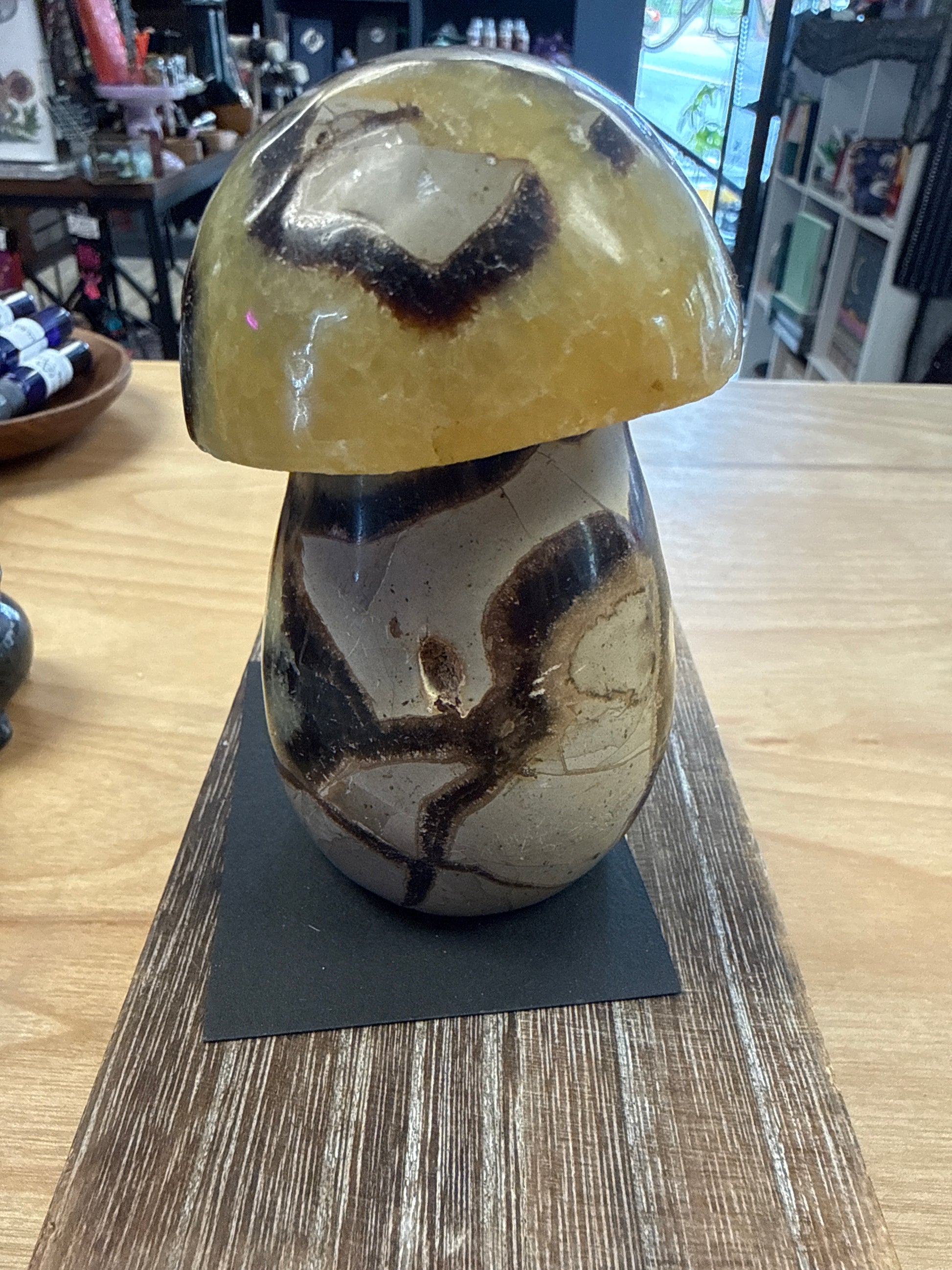 Septarian Mushroom - Cozy Coven