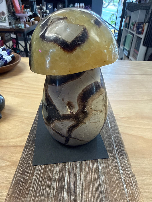 Septarian Mushroom - Cozy Coven