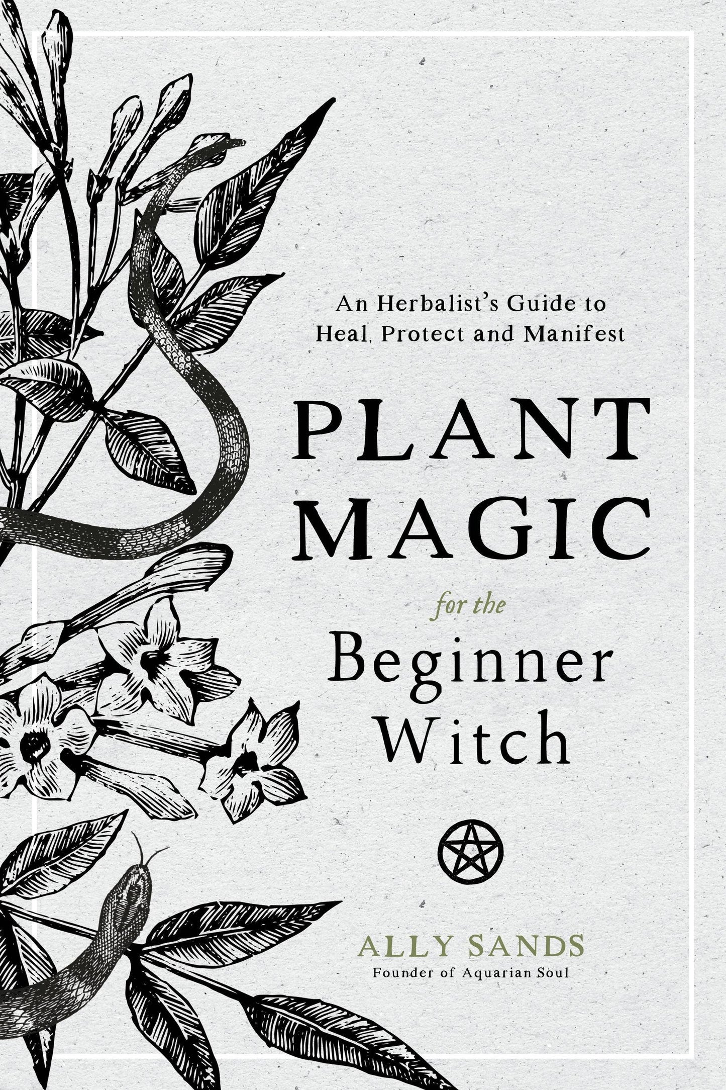 Plant Magic For Beginner Witches: Guide To Heal & Protect