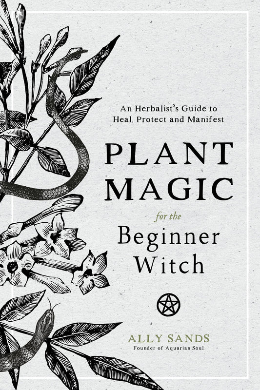 Plant Magic For Beginner Witches: Guide To Heal & Protect