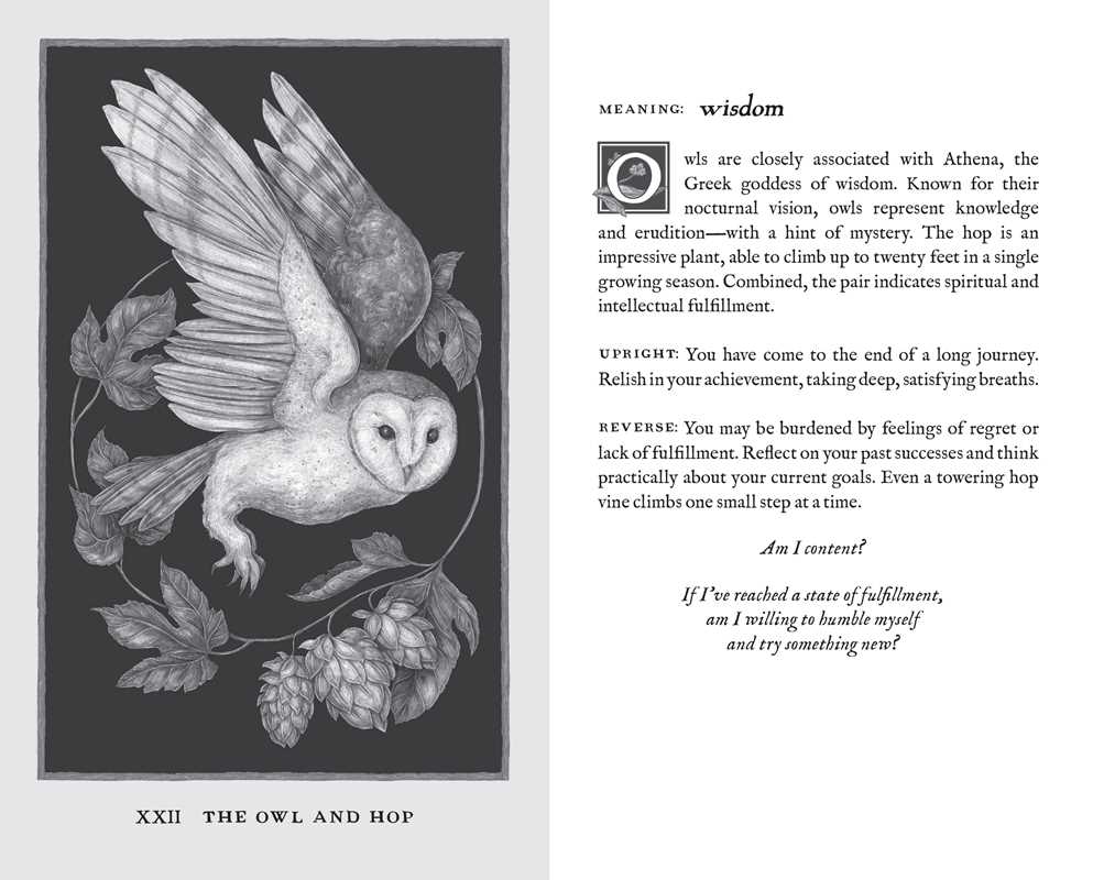 Woodland Wardens Oracle Deck & Guidebook by Jessica  Roux