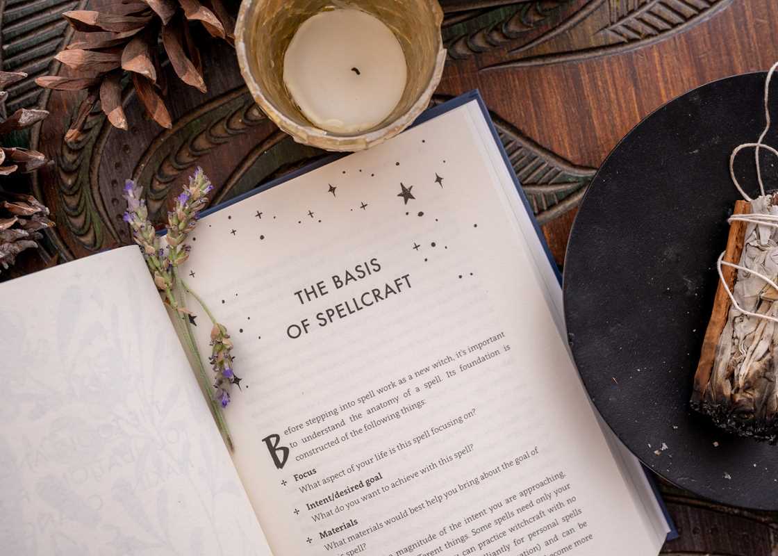 Spells for Change by Frankie  Castanea - Cozy Coven