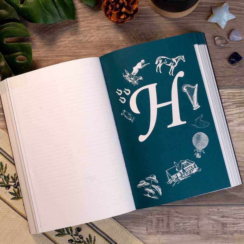 Dream Dictionary by Theresa Cheung - Cozy Coven