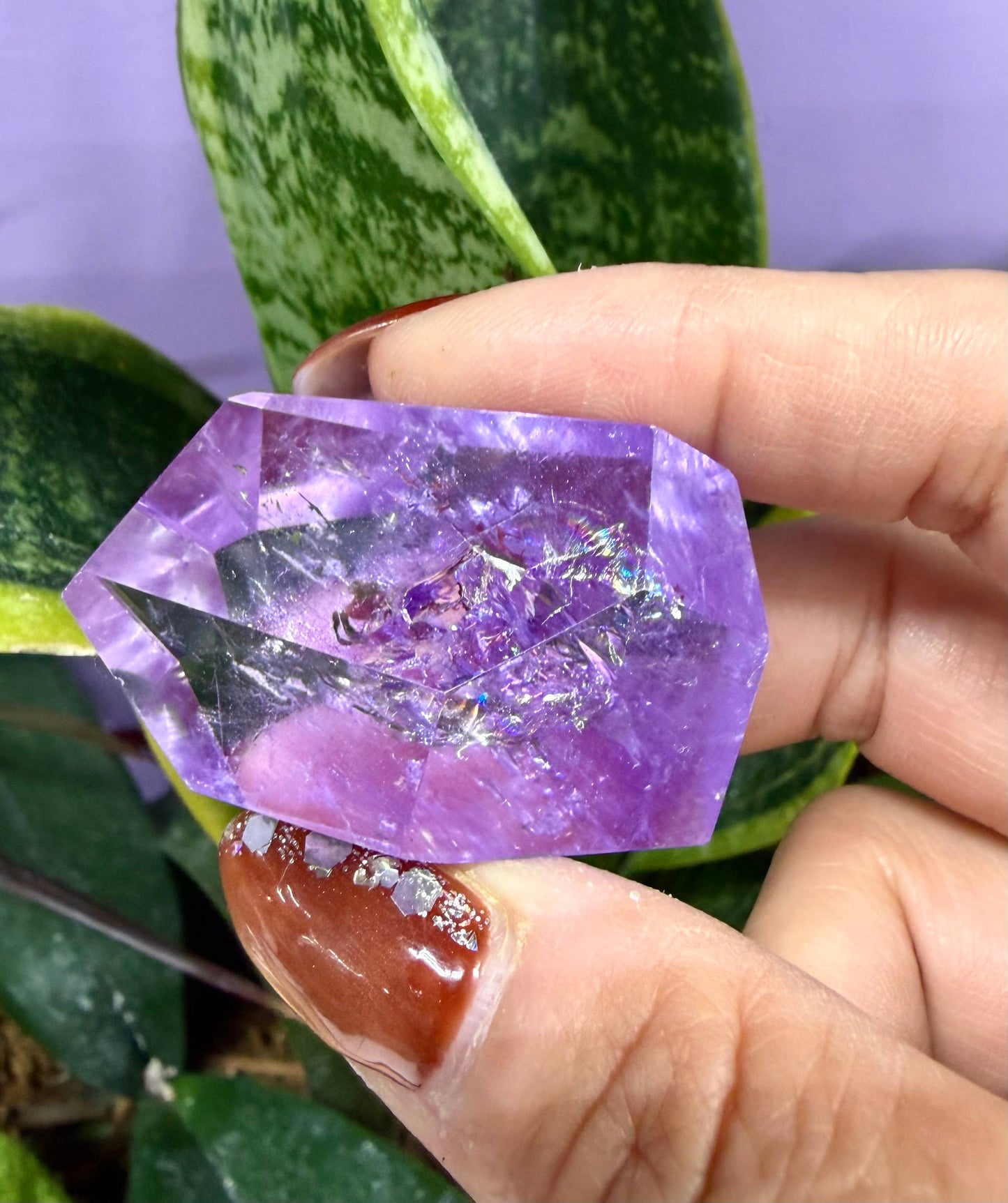 Amethyst Freeform
