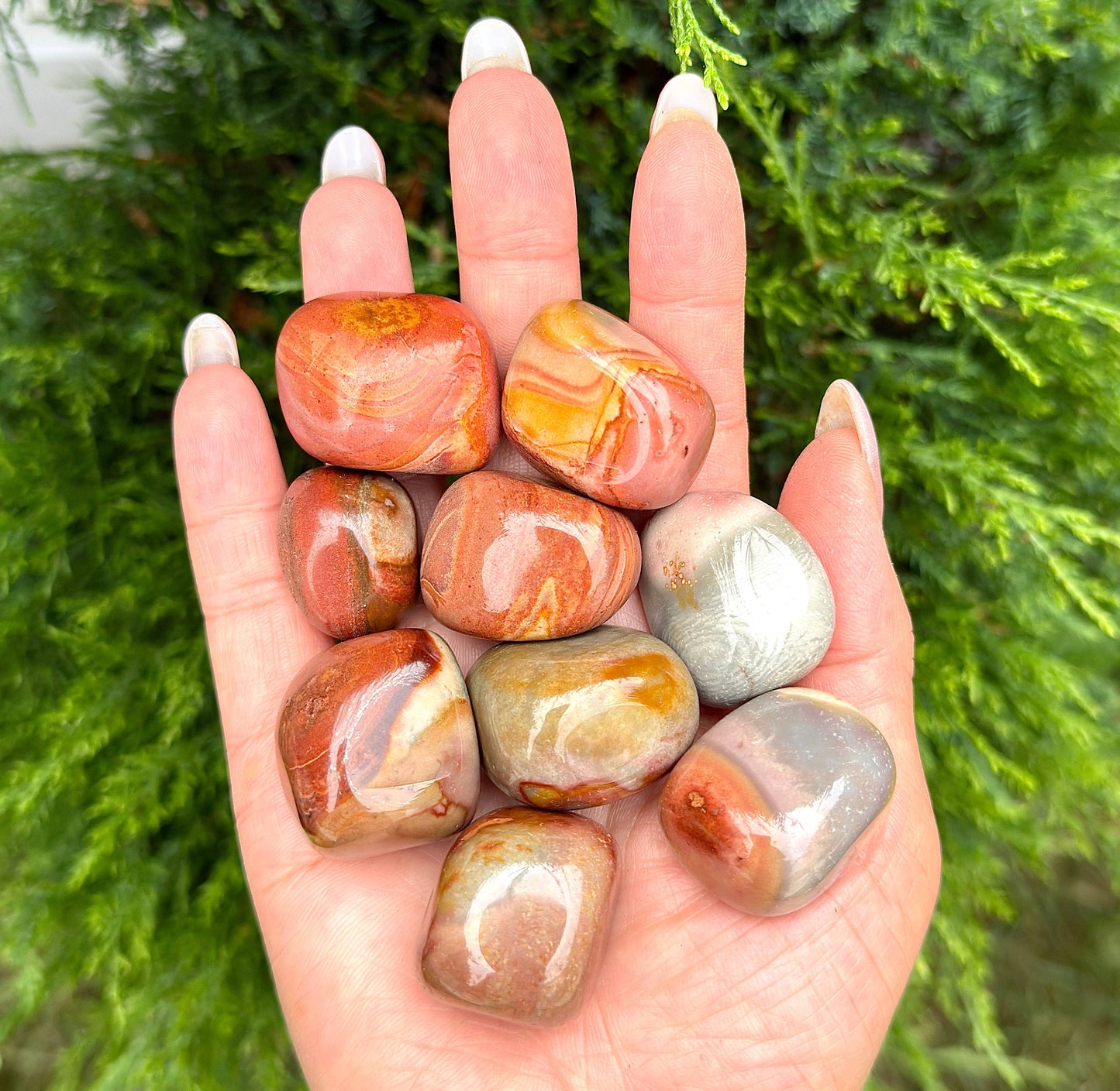 Wholesale Lot 2 lbs Natural Polychrome Jasper Tumble Crystal - Cozy Coven