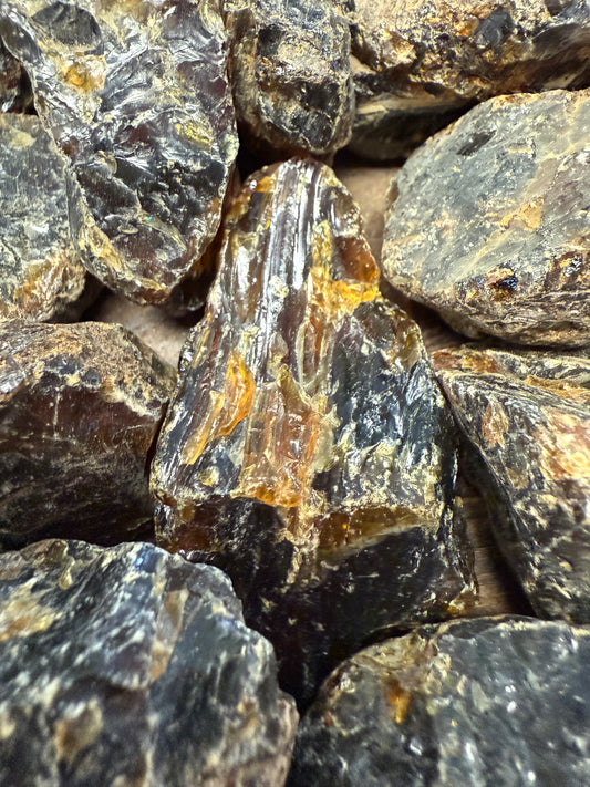 Indonesian Amber