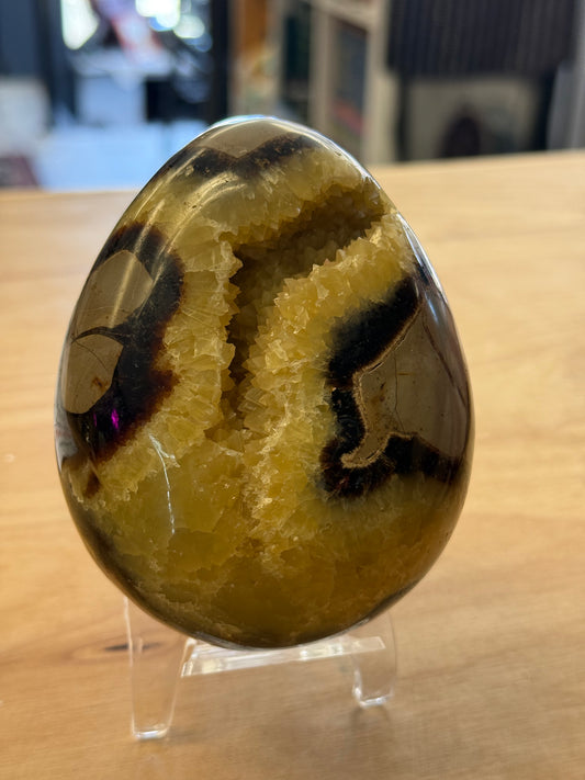 Septarian Dragonstone Freeform - Madagascar Polished Septarian - Cozy Coven