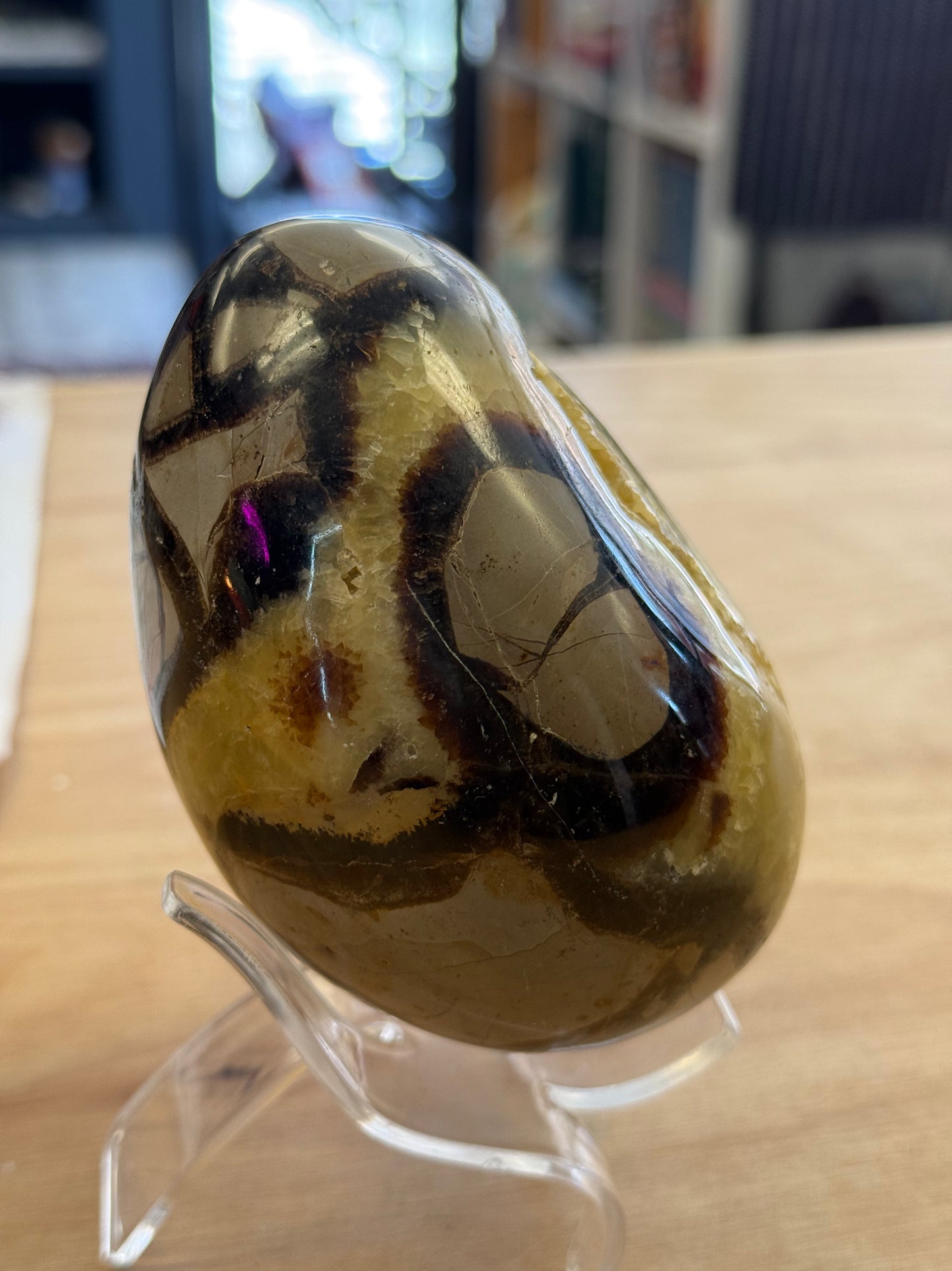 Septarian Dragonstone Freeform - Madagascar Polished Septarian - Cozy Coven