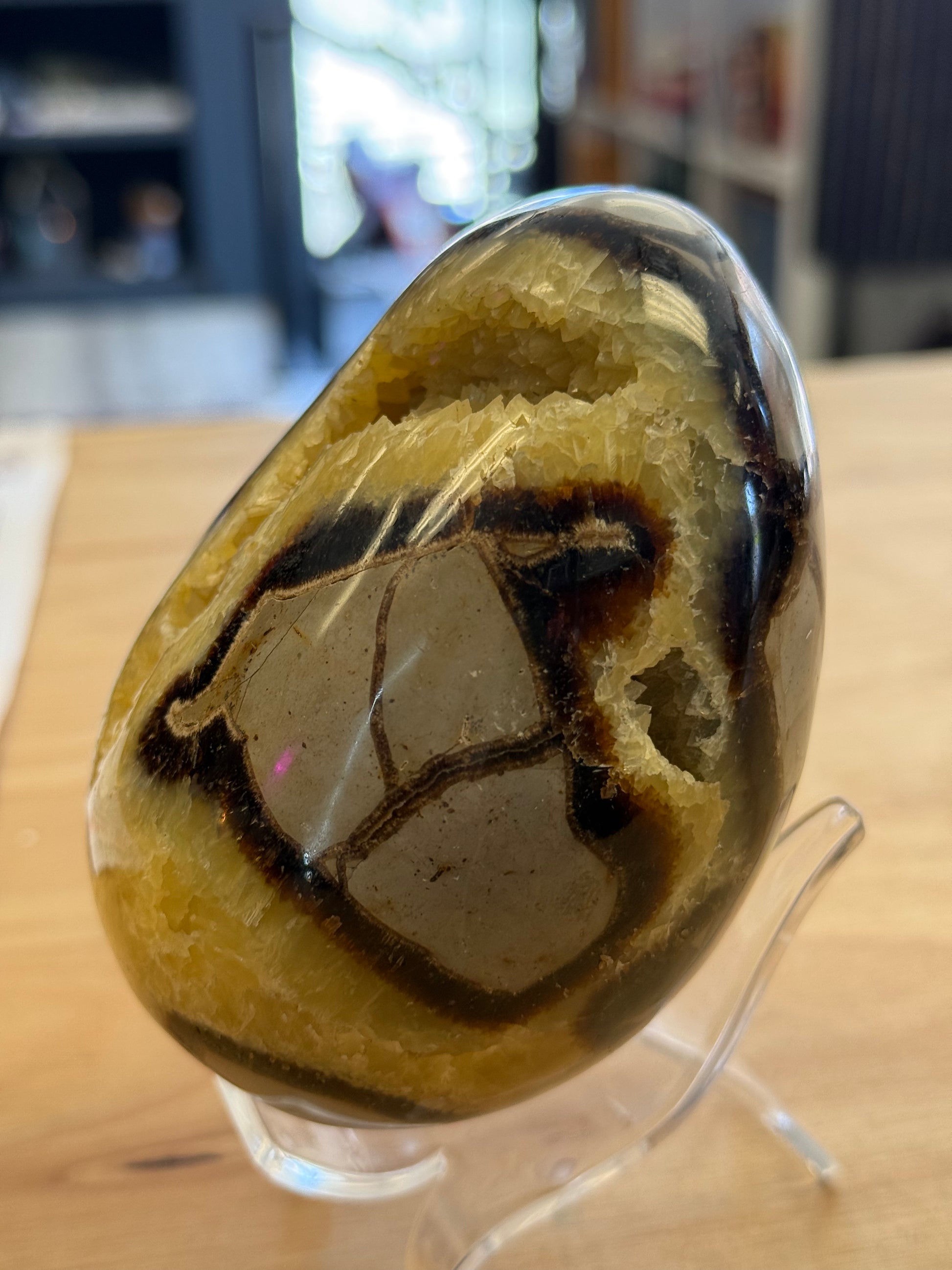Septarian Dragonstone Freeform - Madagascar Polished Septarian - Cozy Coven