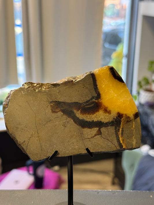 Septarian Dragonstone Slab With Stand - Cozy Coven
