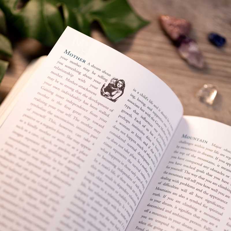 Dream Dictionary by Theresa Cheung - Cozy Coven