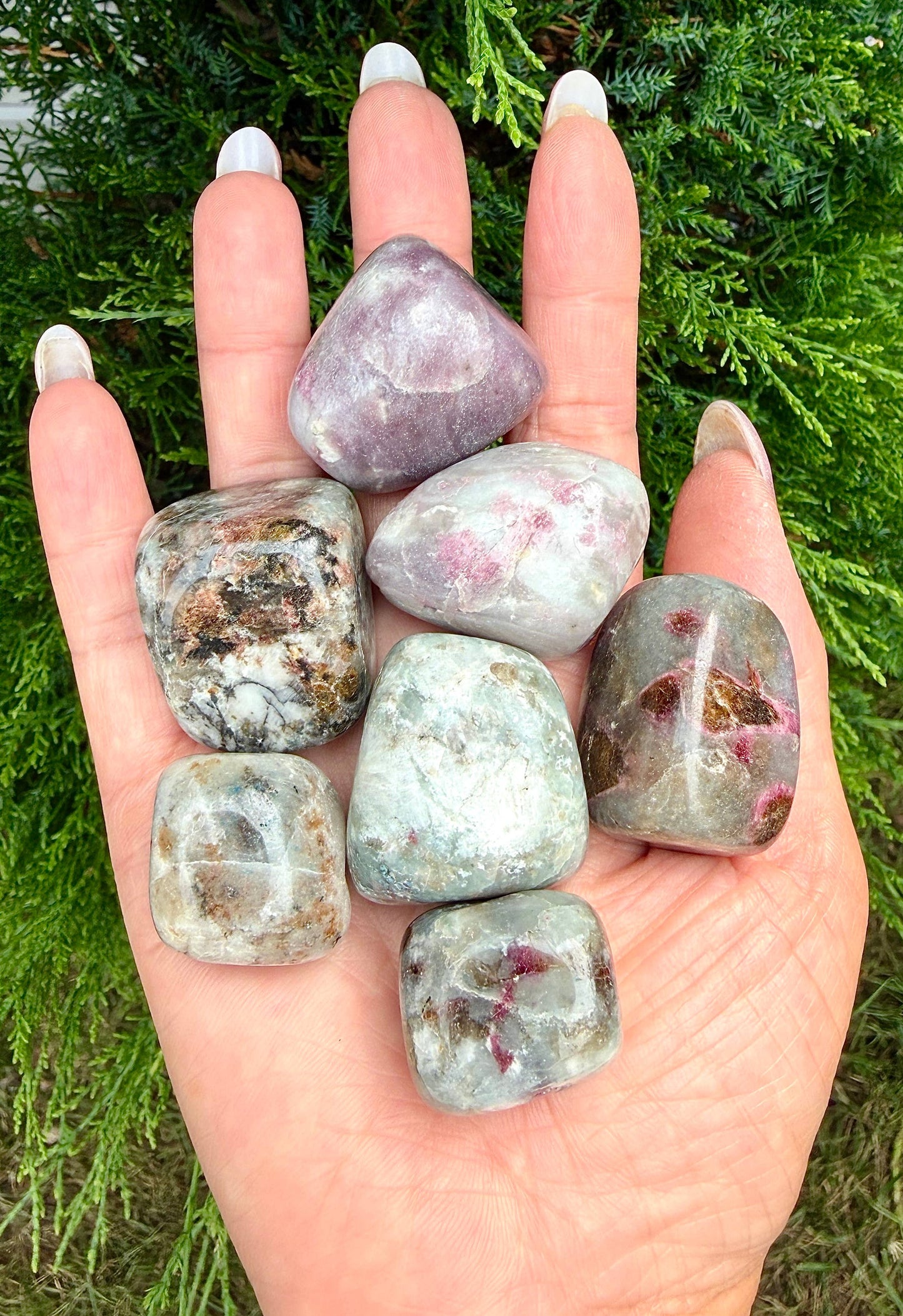 2 lbs Natural Unicorn StoneTumble Crystal - Cozy Coven