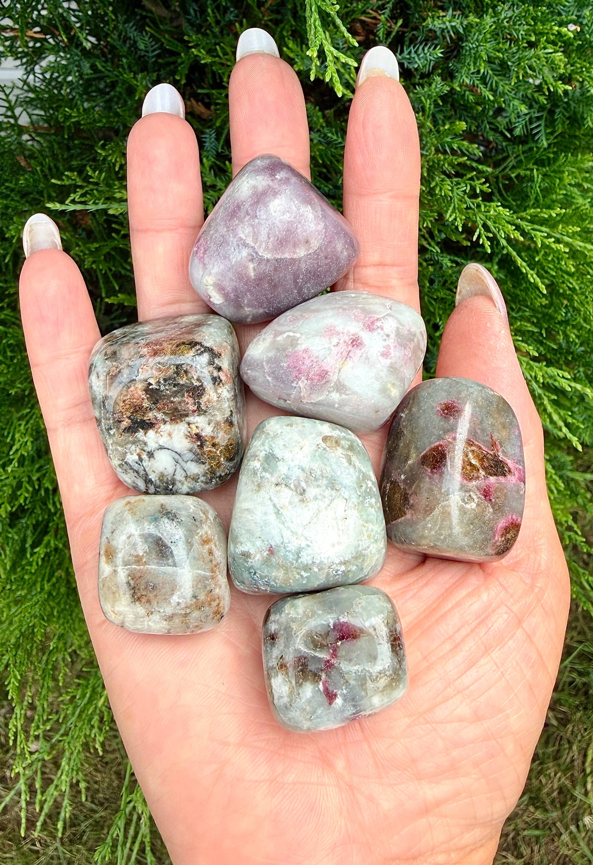 2 lbs Natural Unicorn StoneTumble Crystal - Cozy Coven