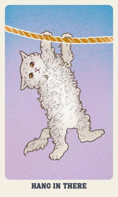 Feline Mystique Oracle Deck and Guidebook - Cozy Coven