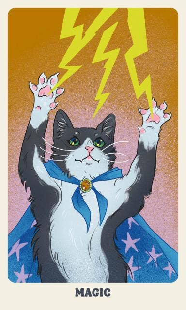 Feline Mystique Oracle Deck and Guidebook - Cozy Coven