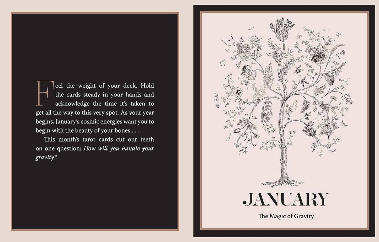 The Tarot Almanac: A Seasonal Guide to Divining - Cozy Coven