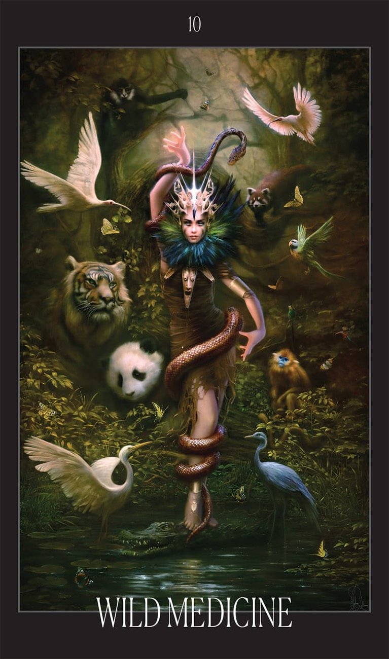 The Oracle of the Vampire Fae : Fierce Feminine Wisdom from the Baobhan Sith - Cozy Coven