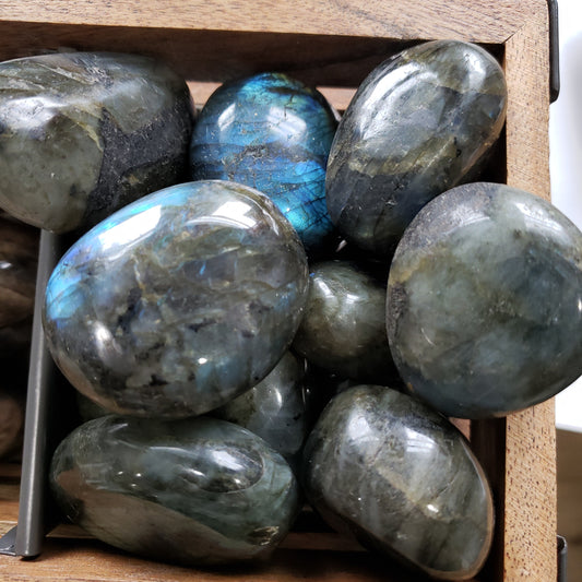 Labradorite Palm Stone - The Healing Collective NY 