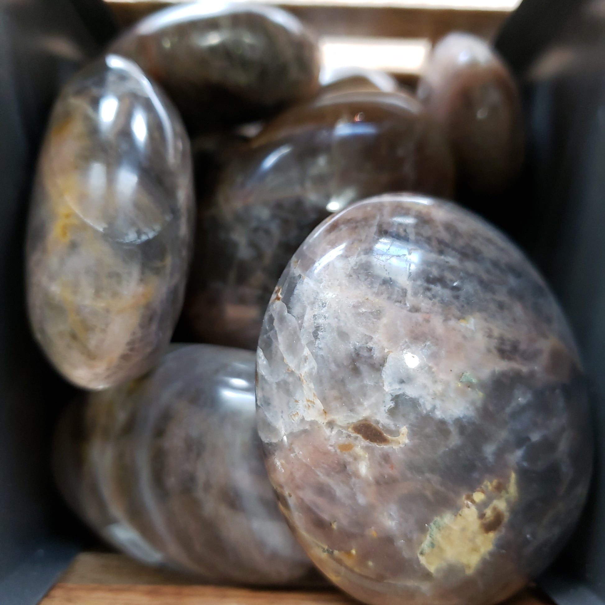 Black Moonstone Palm Stone - The Healing Collective NY 