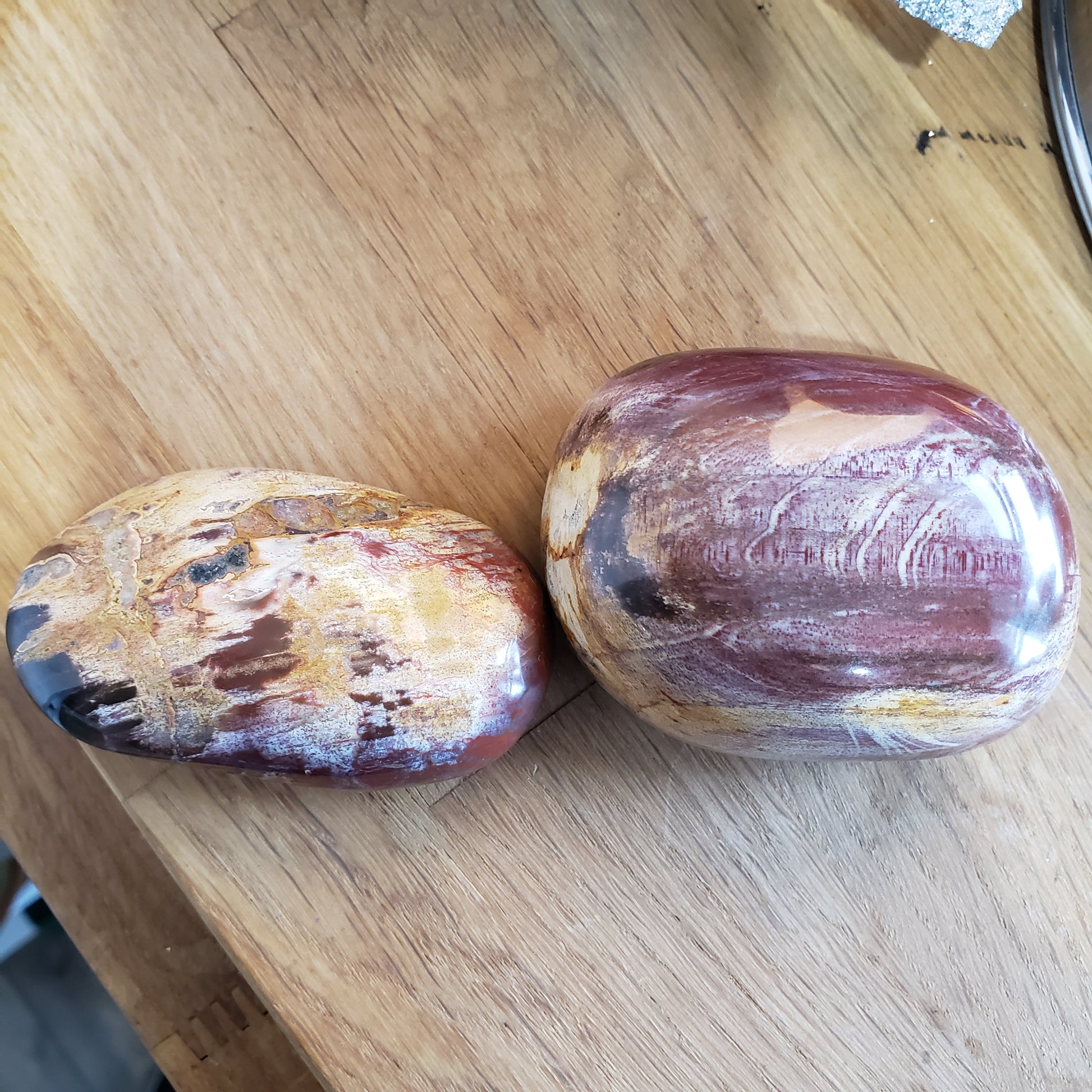 Petrified Wood Palm Stones - The Healing Collective NY 