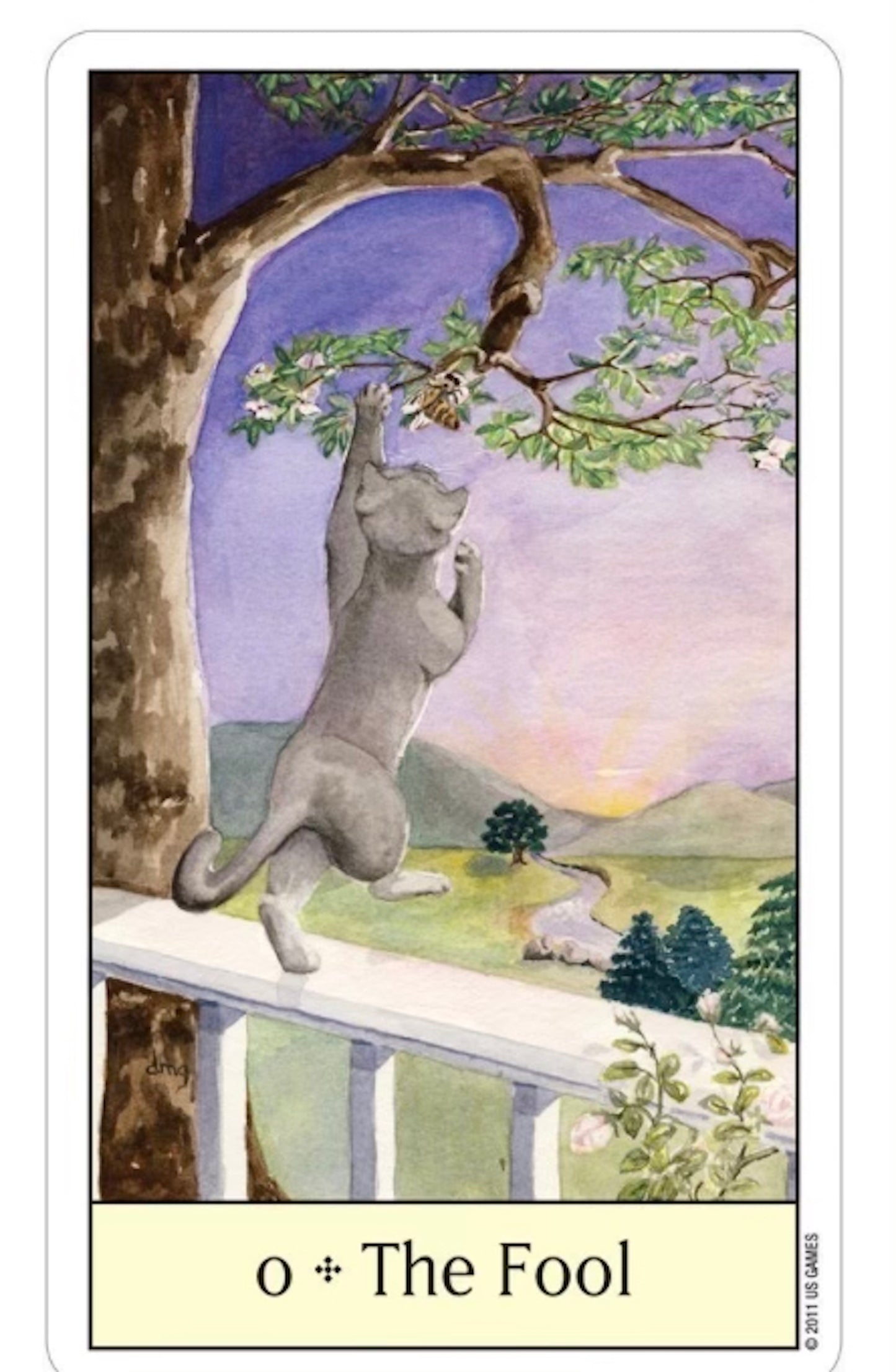 Cat's Eye Tarot : by Debra M. Givin, DVM