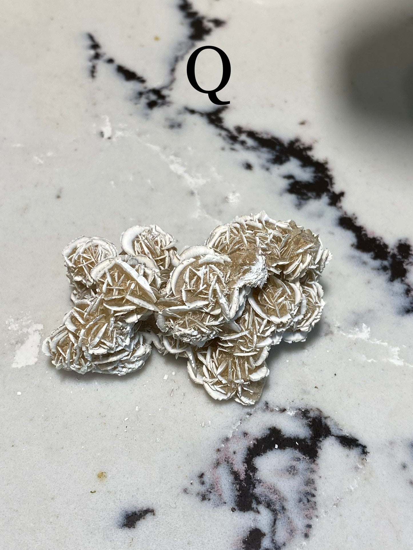 Desert Rose Selenite