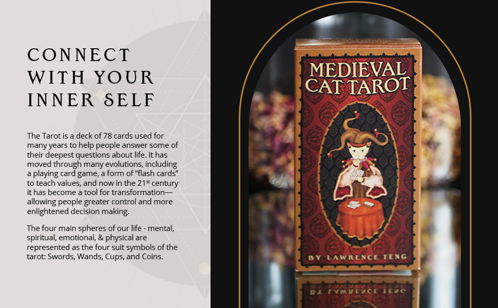 Medieval Cat Tarot Deck and Guidebook