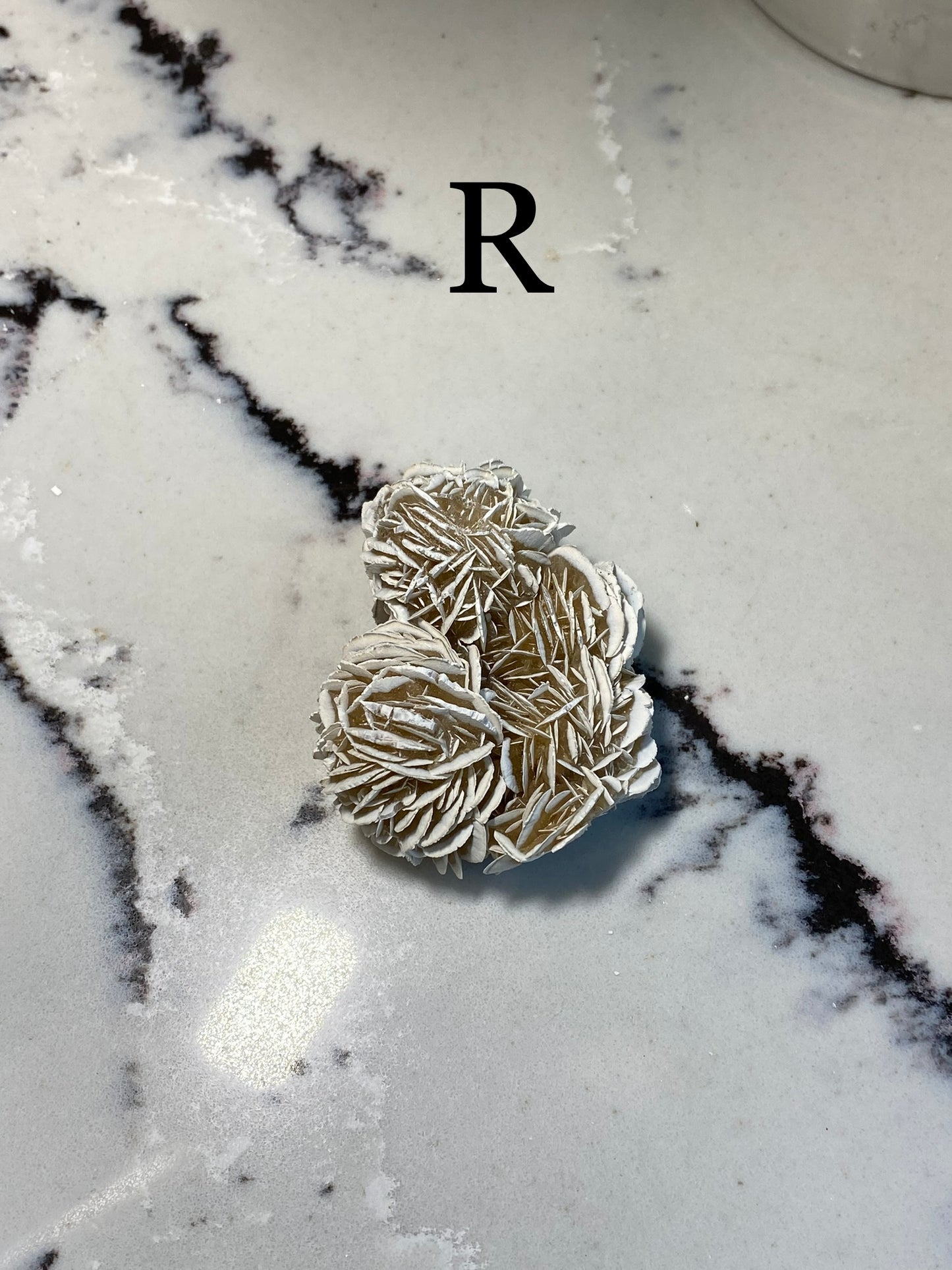 Desert Rose Selenite