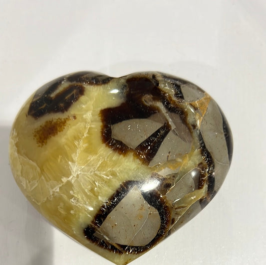 Septarian Heart Palm Stone
