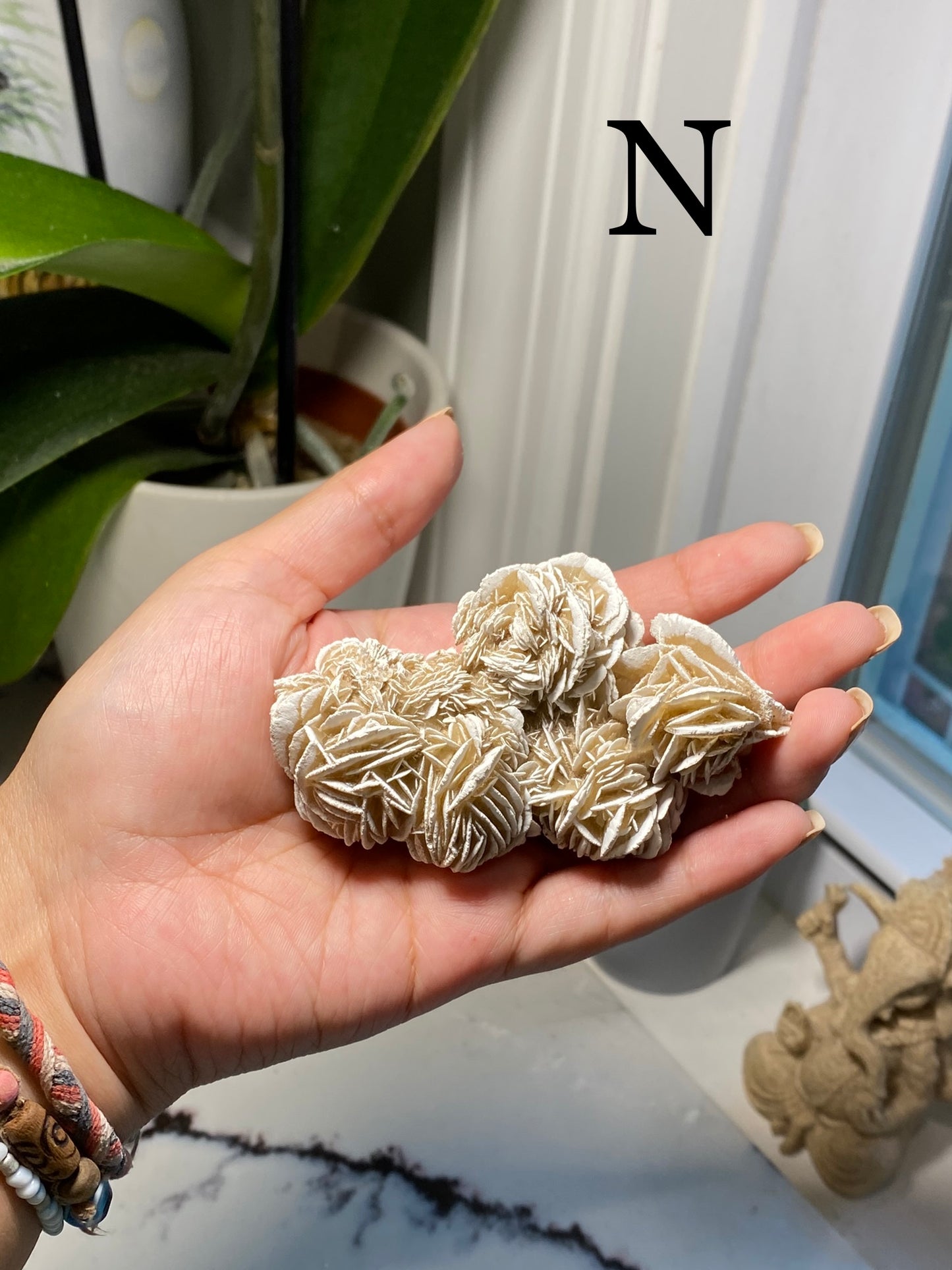 Desert Rose Selenite