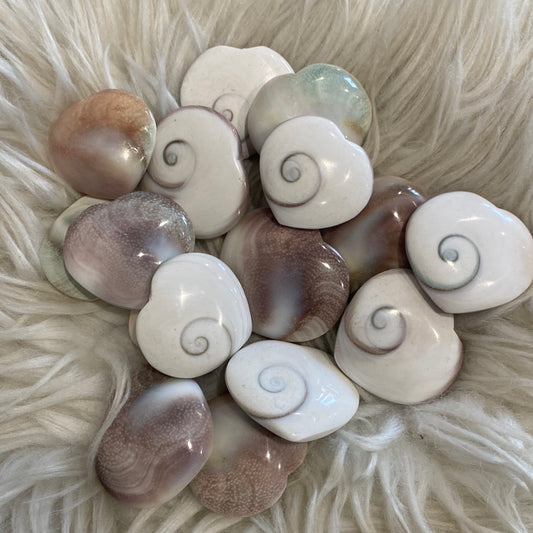 Shiva Shell Hearts