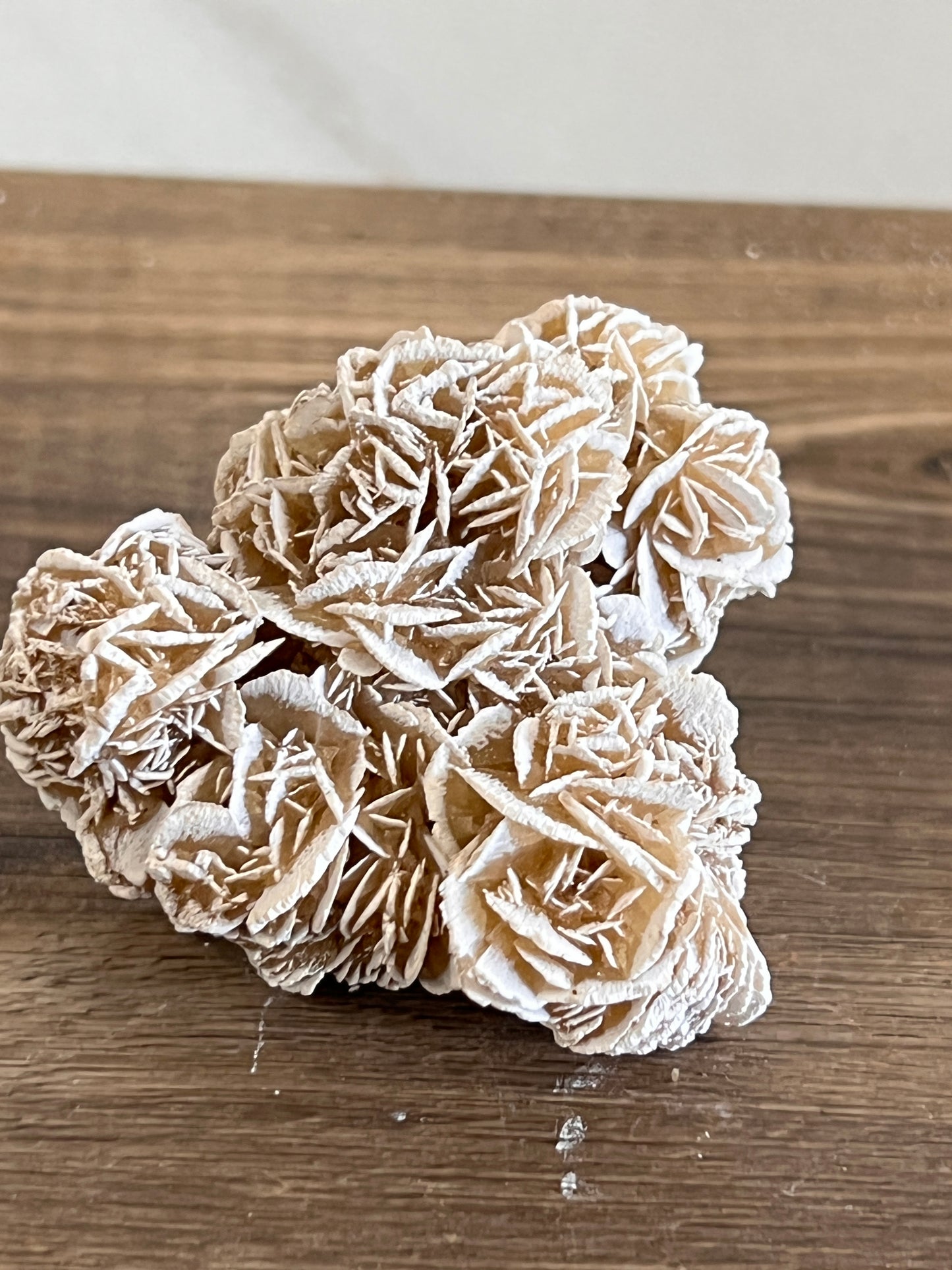 Desert Rose Selenite