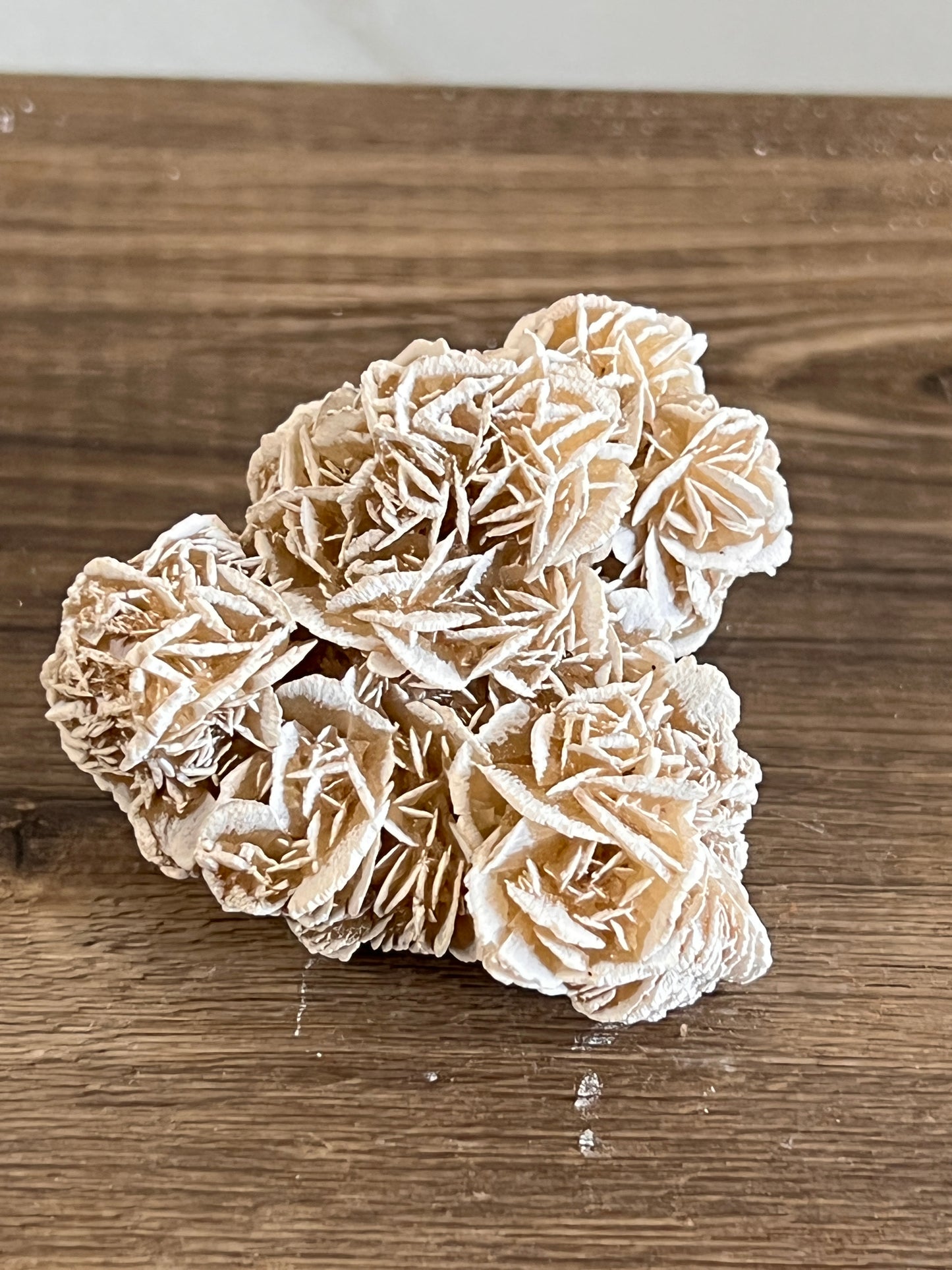 Desert Rose Selenite