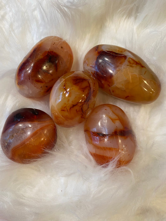 Carnelian Palm Stone - The Healing Collective NY 