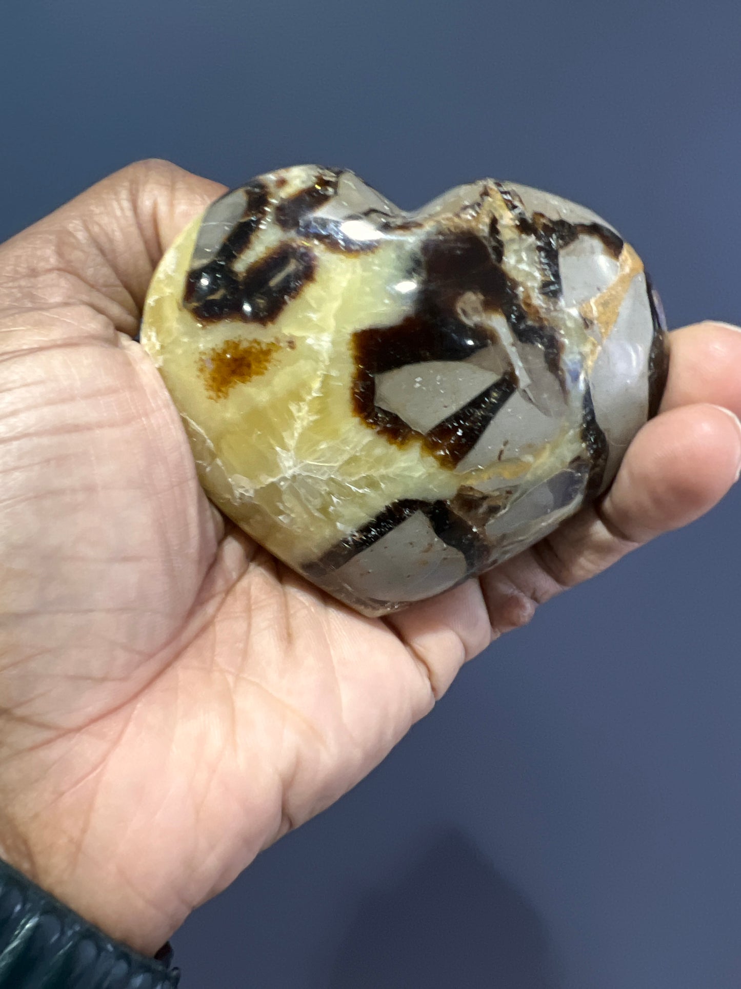 Septarian Heart Palm Stone