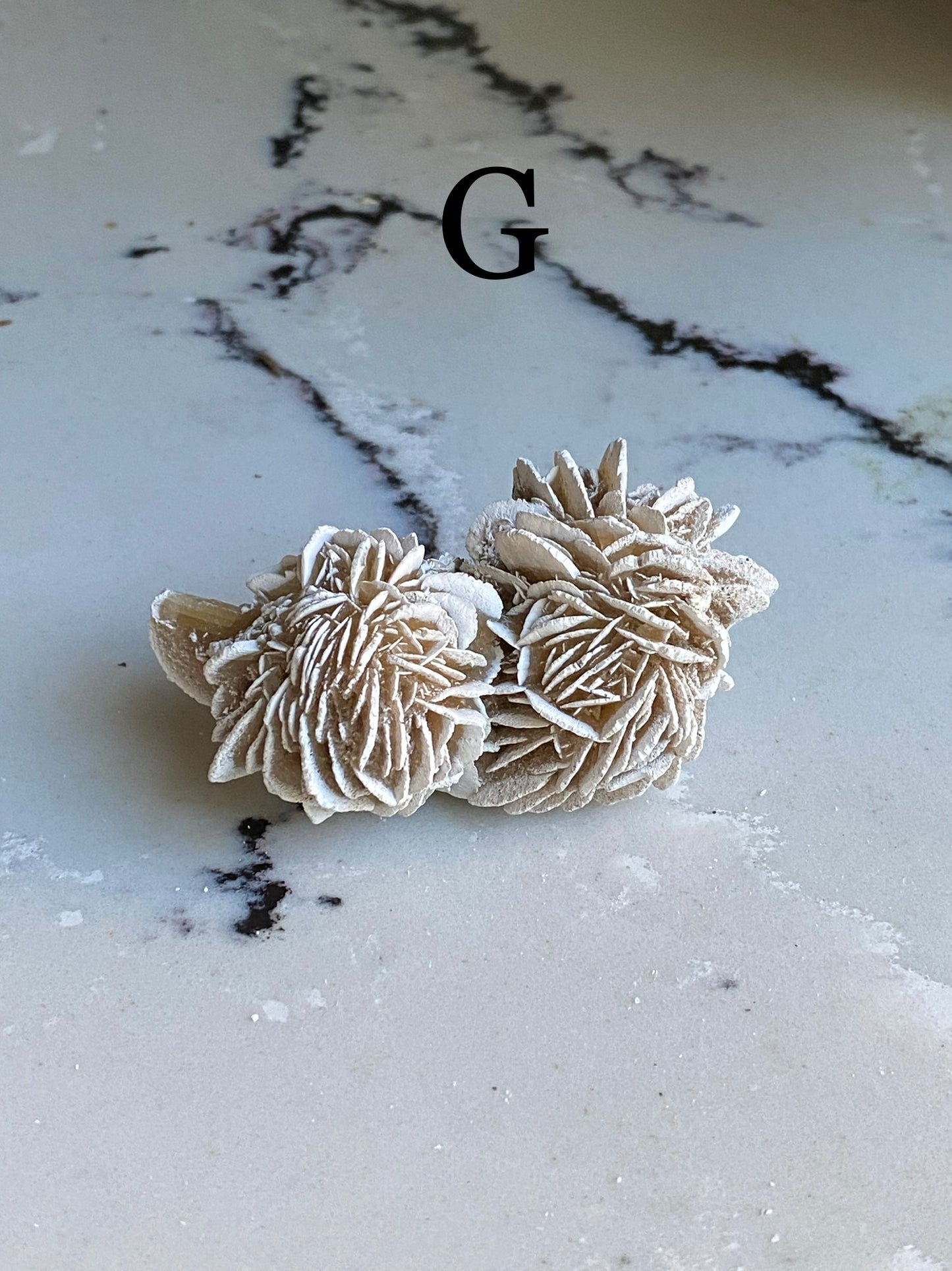 Desert Rose Selenite