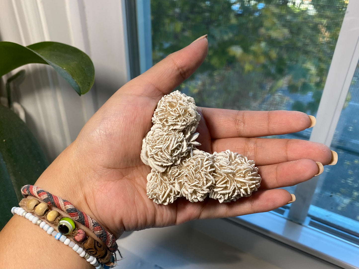 Desert Rose Selenite