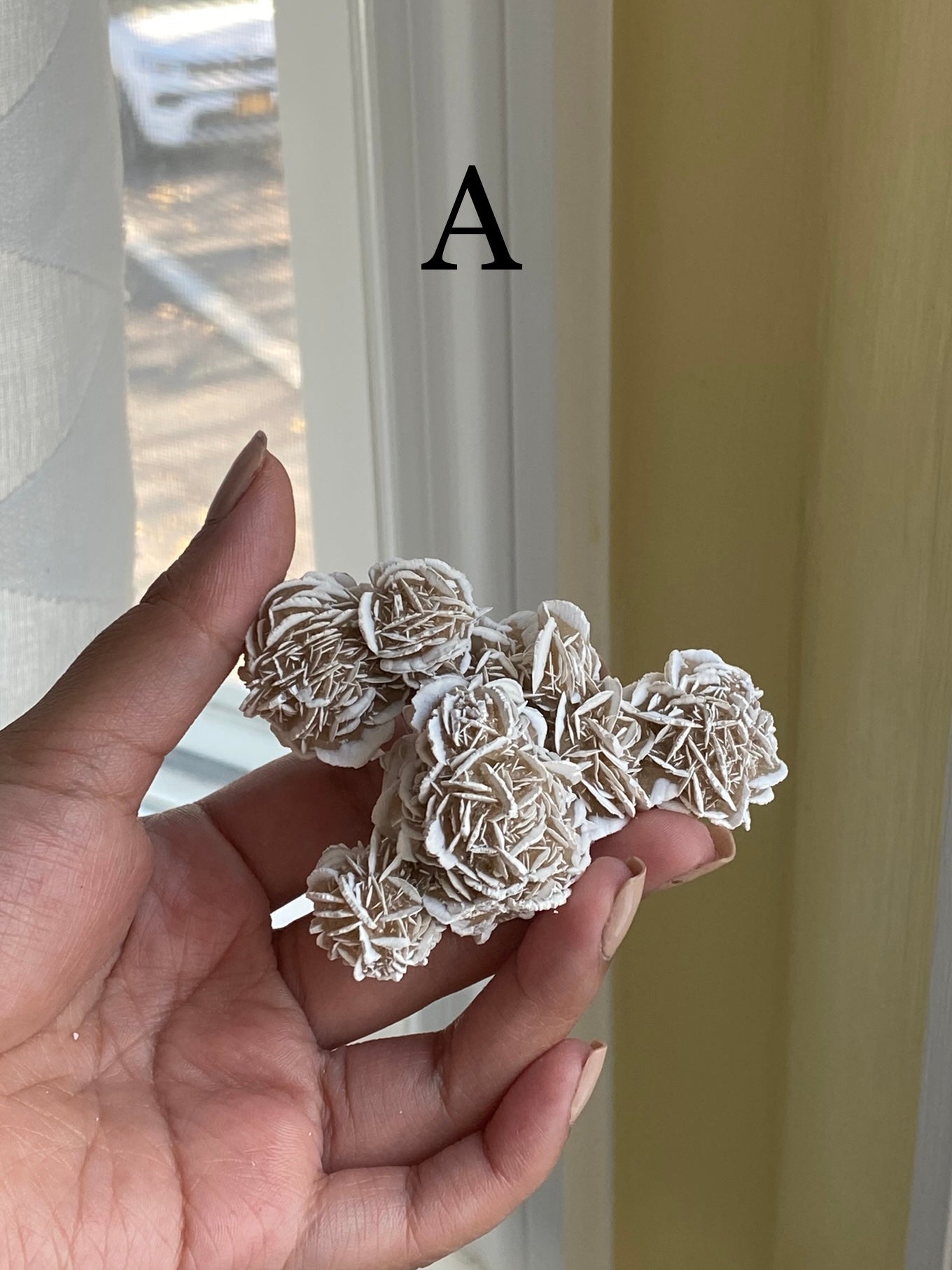 Desert Rose Selenite