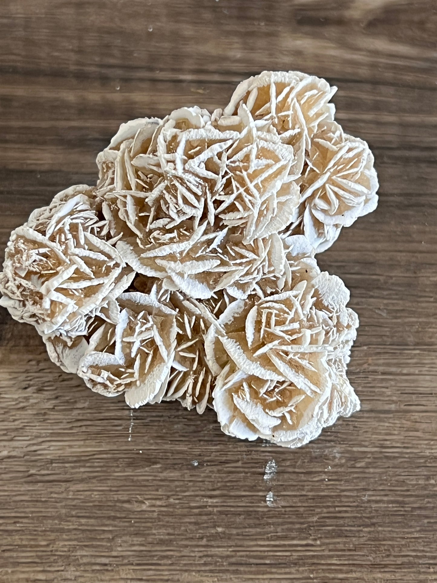 Desert Rose Selenite