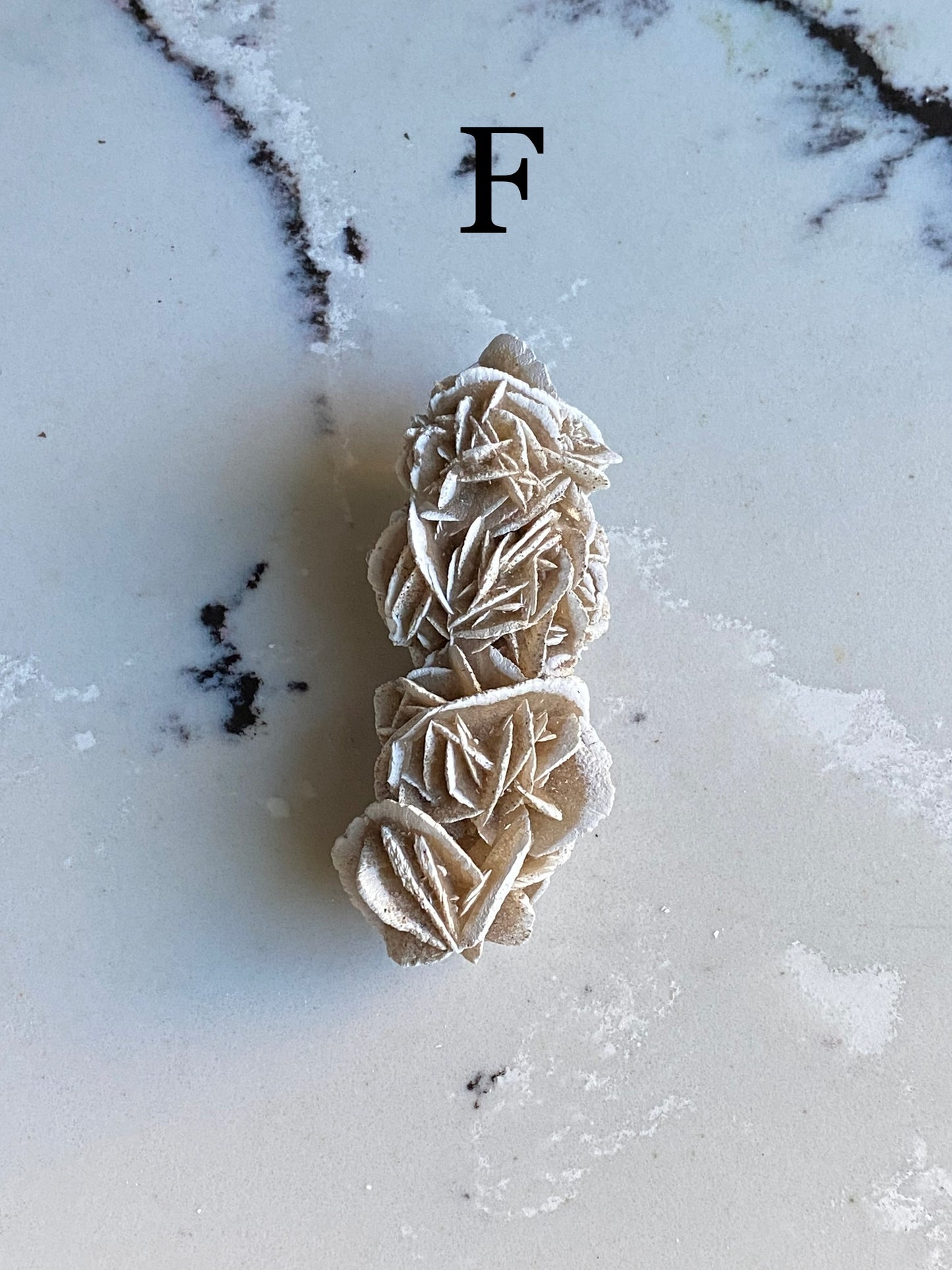 Desert Rose Selenite